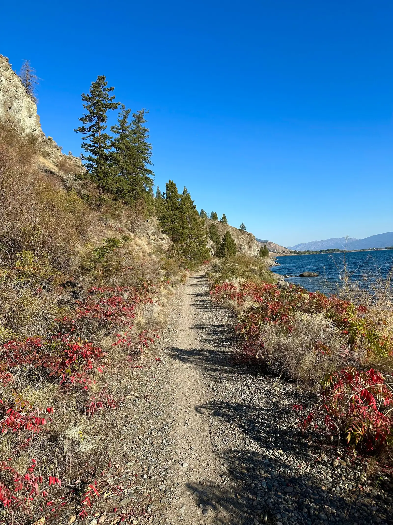 A dry trail along a hillside above Okanagan Lake in British Columbia under a clear blue sky