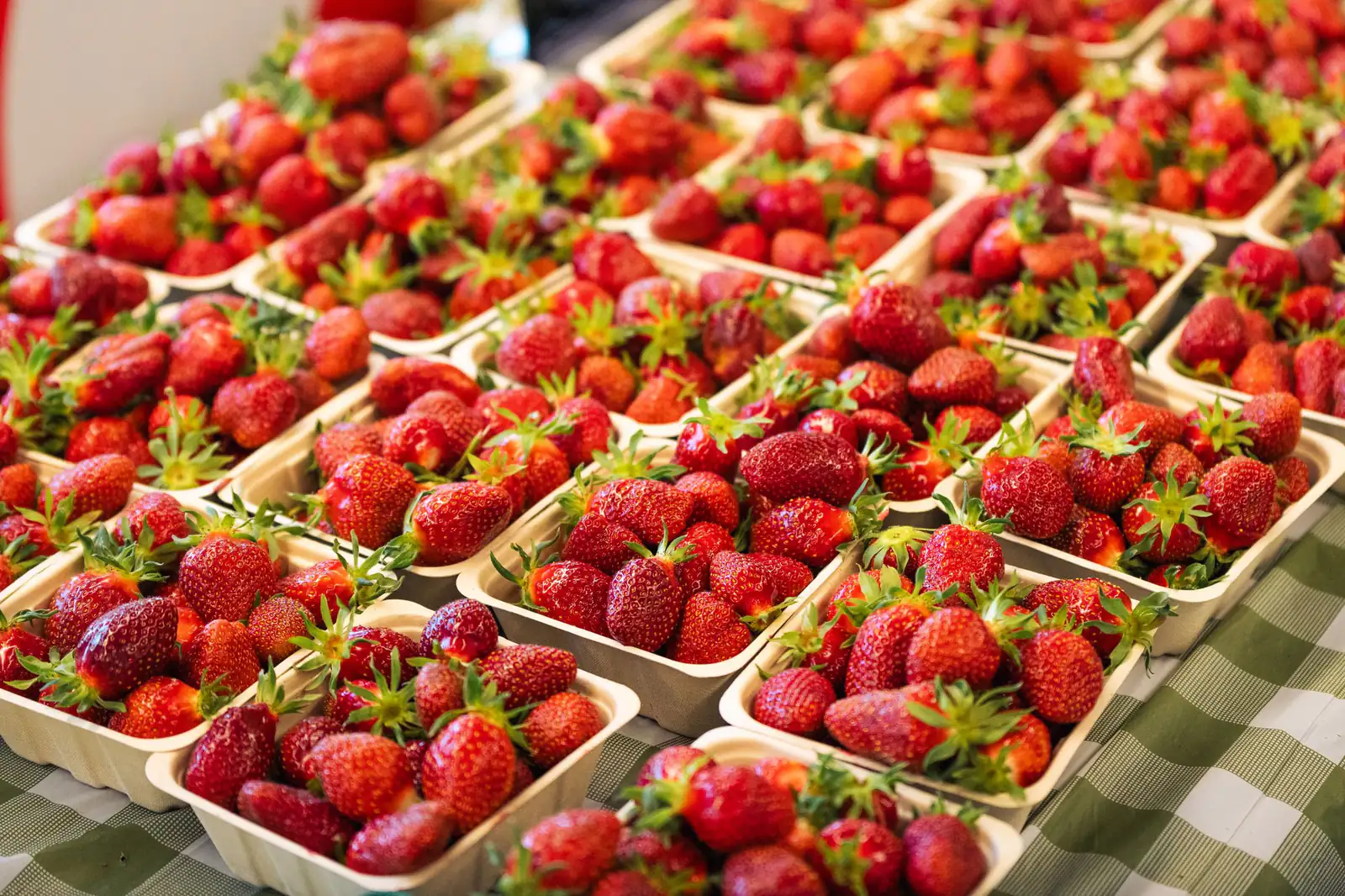 Rows of fresh strawberries in small cardboard baskets at a farmers market in Saanich, British Columbia