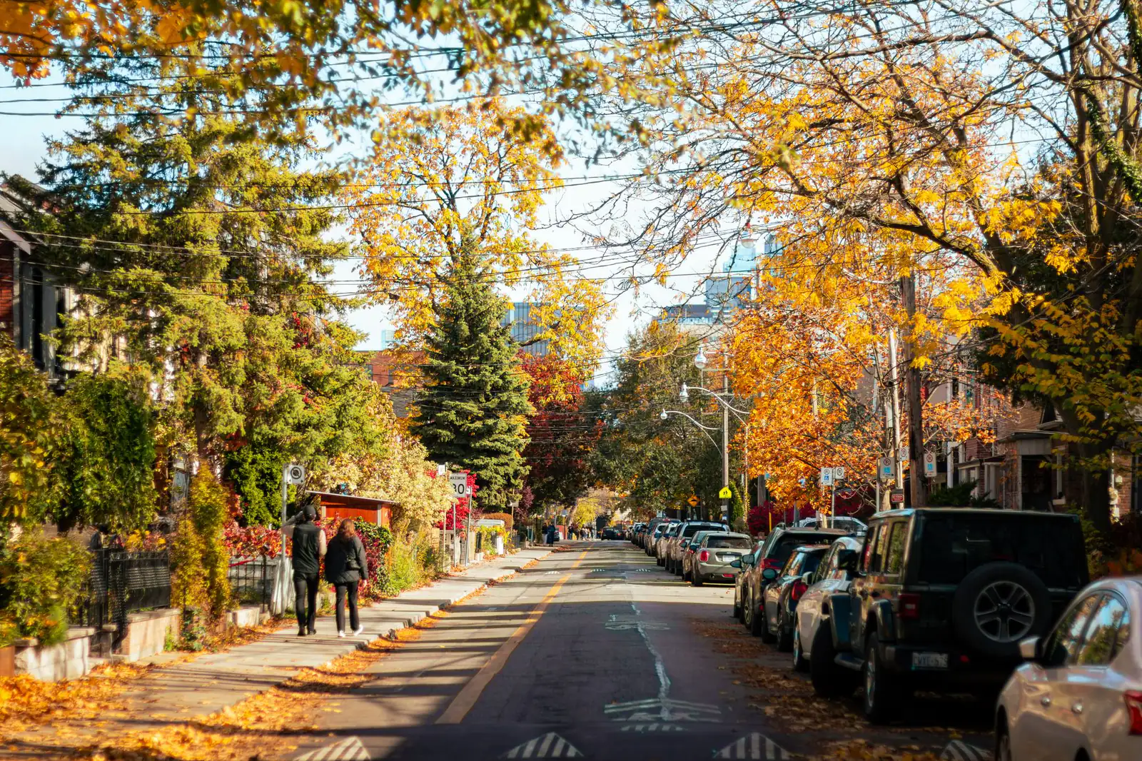 A quiet residential street in Toronto under golden autumn maple trees