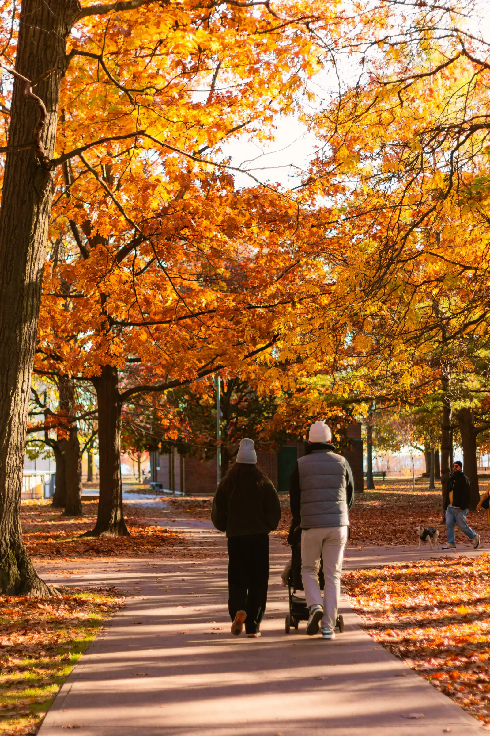 Two people walking under orange autumn maple trees in a Toronto park